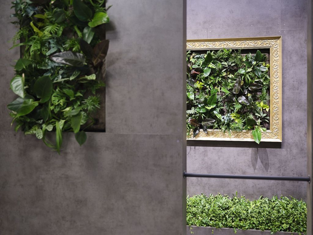 Bei Jardin Suisse kotrasiteren kühle Betonelemente mit kreativ hängenden Gärten. Der Verband weist damit auf die vielfältigen Möglichkeiten hin, mit Pflanzen neue visuelle Erlebnisse zu schaffen. Foto: © Werner Mäder, Uetikon 